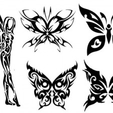 butterfly butterfly